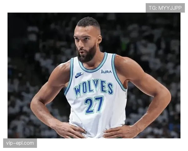 森林狼防守效率115.1中游水平 戈贝尔护框价值依旧明显